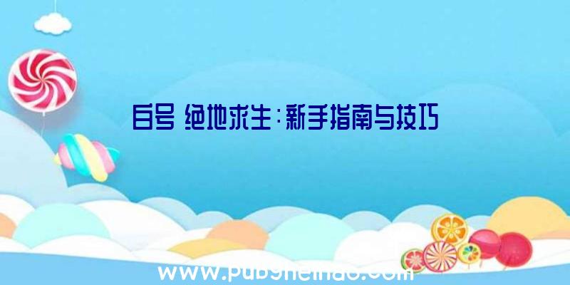 白号